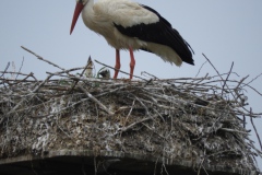 1_DSCN0856