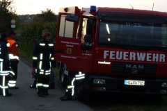 2011-10-08_Kartoffelfeuer_2011_009